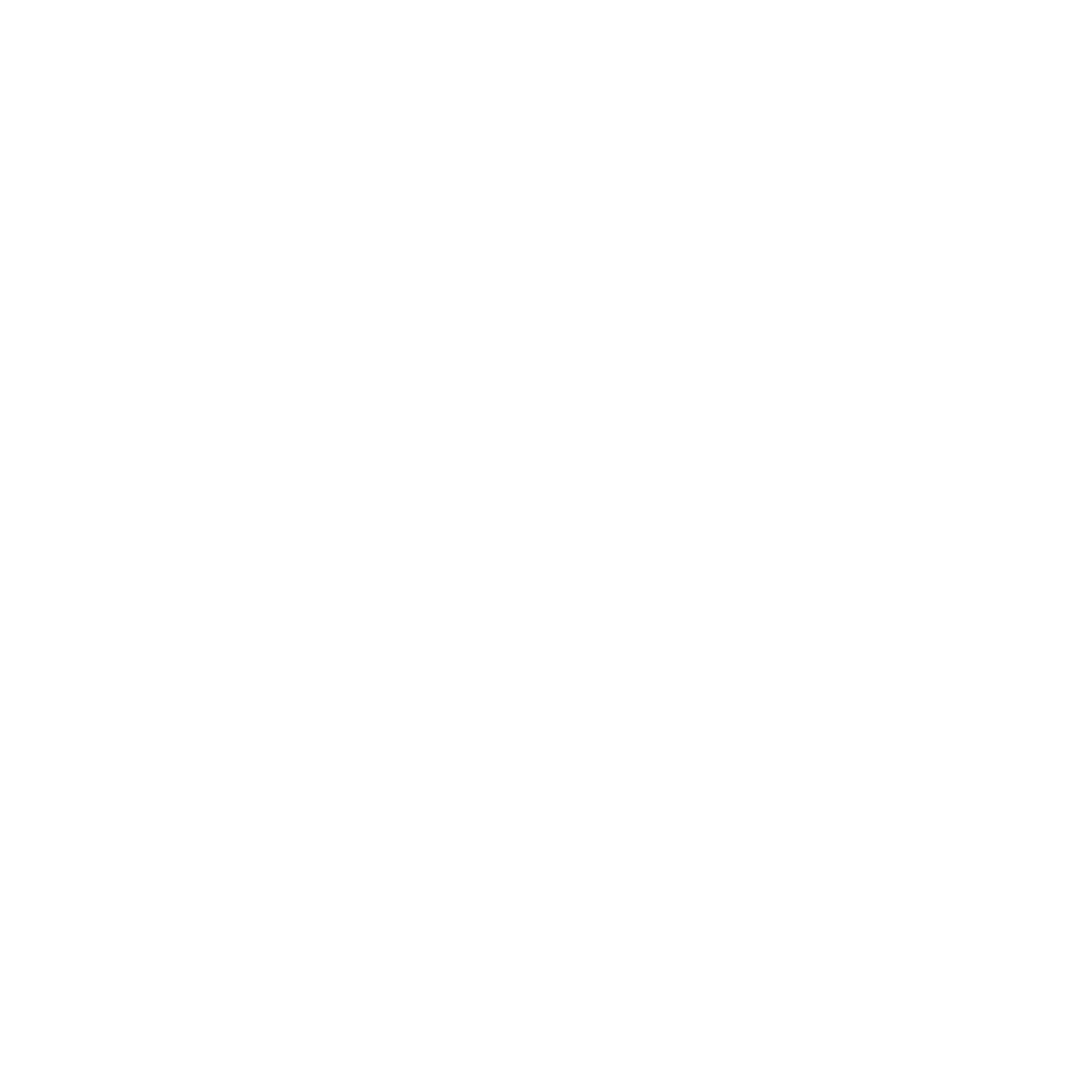Bram Huiskes Logo